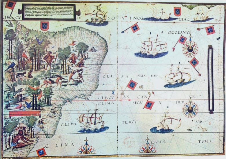 Commerce du bois-brésil Commerce du bois-brésil
